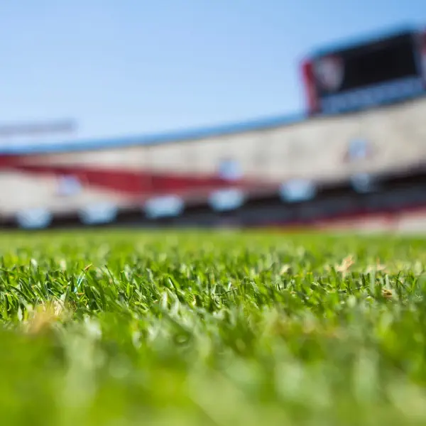 السياحة الرياضية